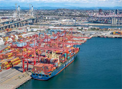 Pay attention to the IPPC marking regulations for wooden pac